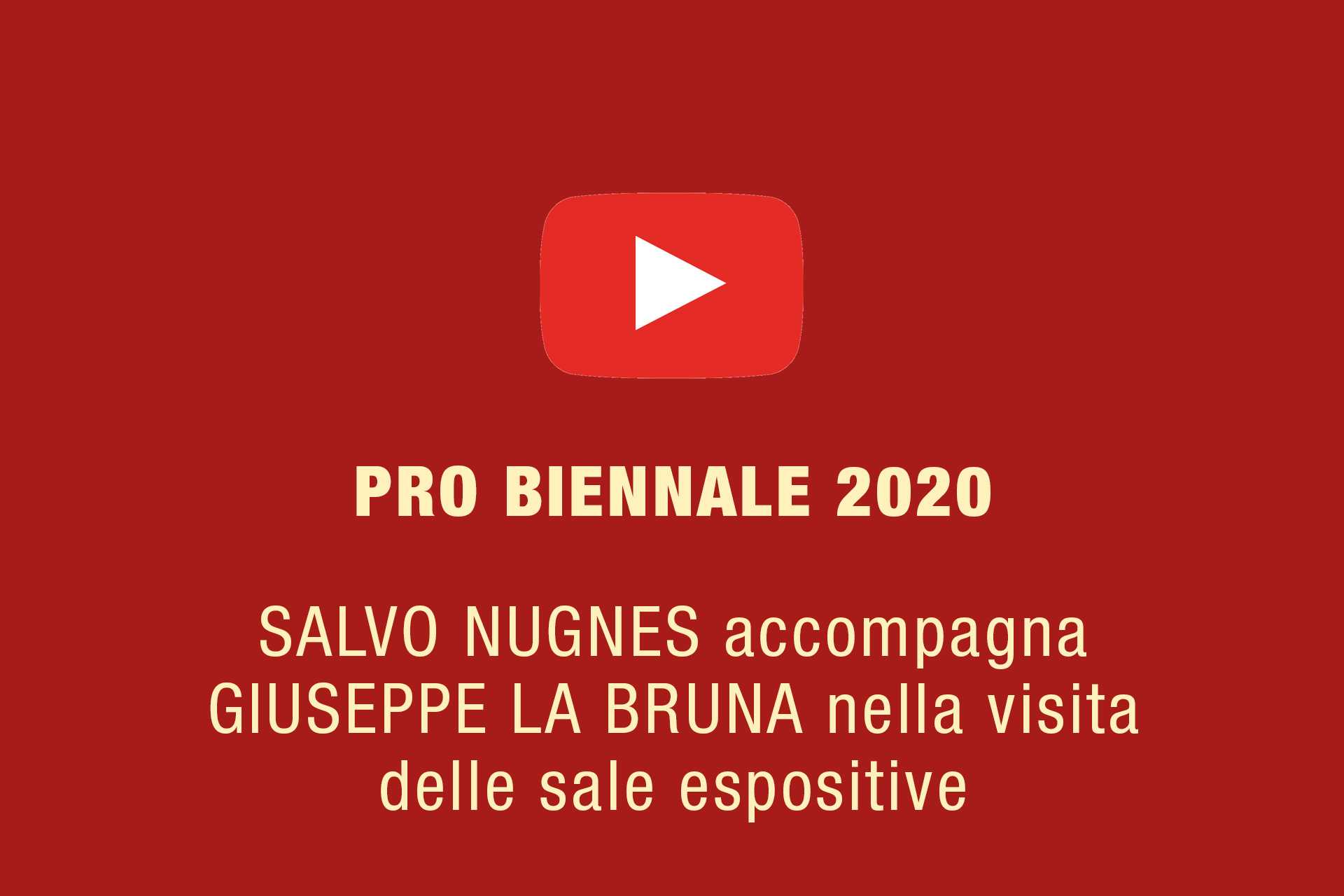Video Pro Biennale 2020